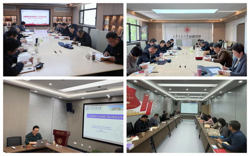 筑牢育人根基，賦能學校發(fā)展 基礎教育黨委以一流服務引領優(yōu)質(zhì)教育新篇章