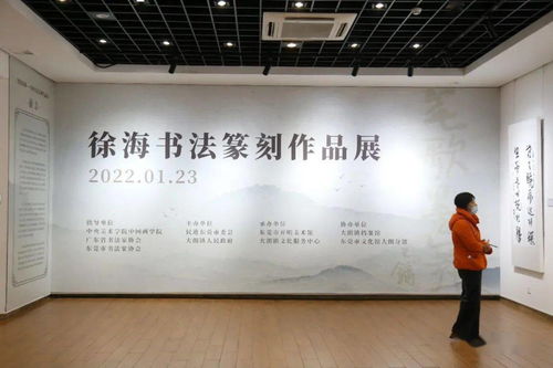 筆歌墨舞——徐海書法篆刻作品展今日隆重開幕