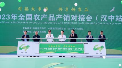 專業展覽展示承辦——打造品牌形象與商業價值的完美舞臺